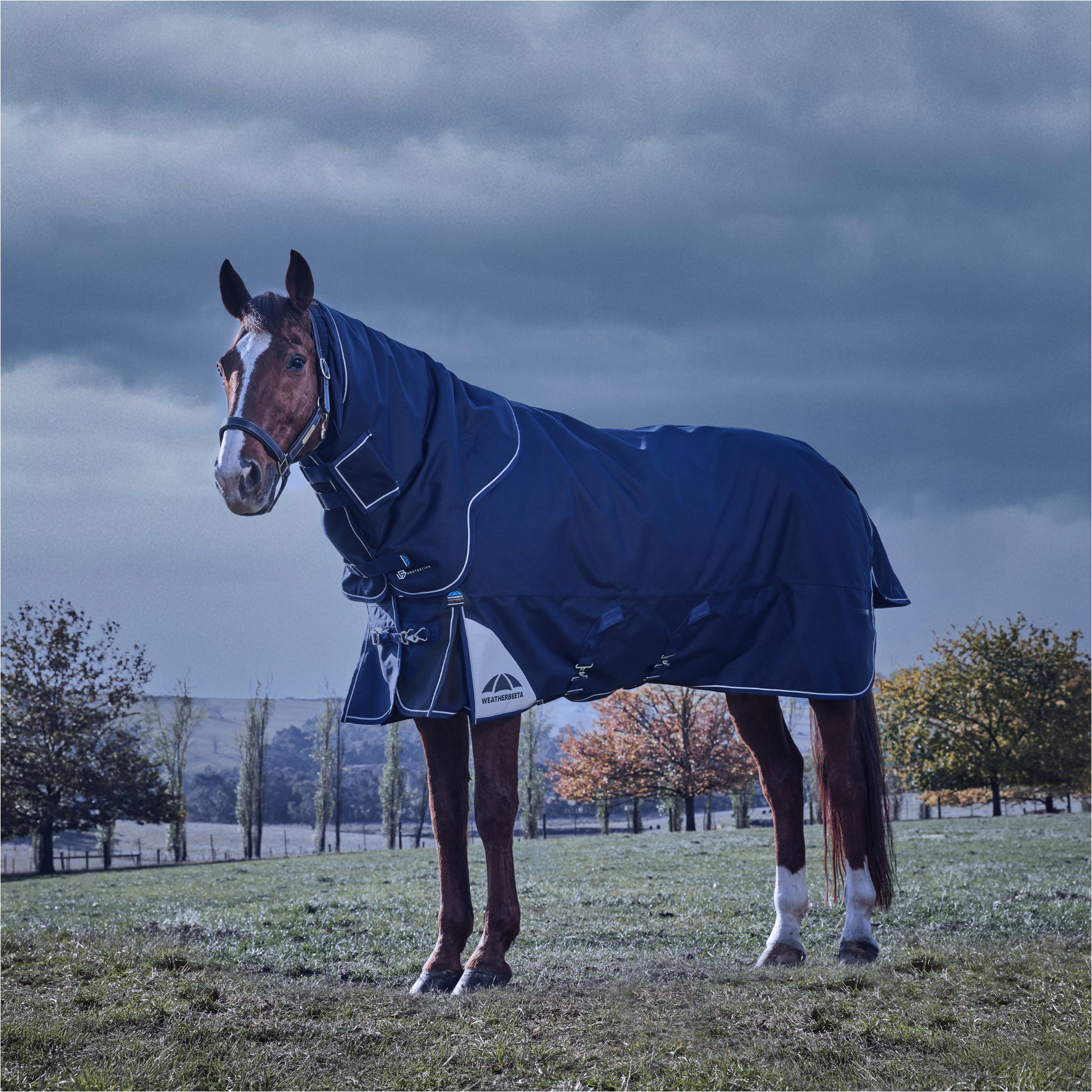 2025 Weatherbeeta Comfitec Ultra Turnout Detach-A-Neck 1028772 - Navy